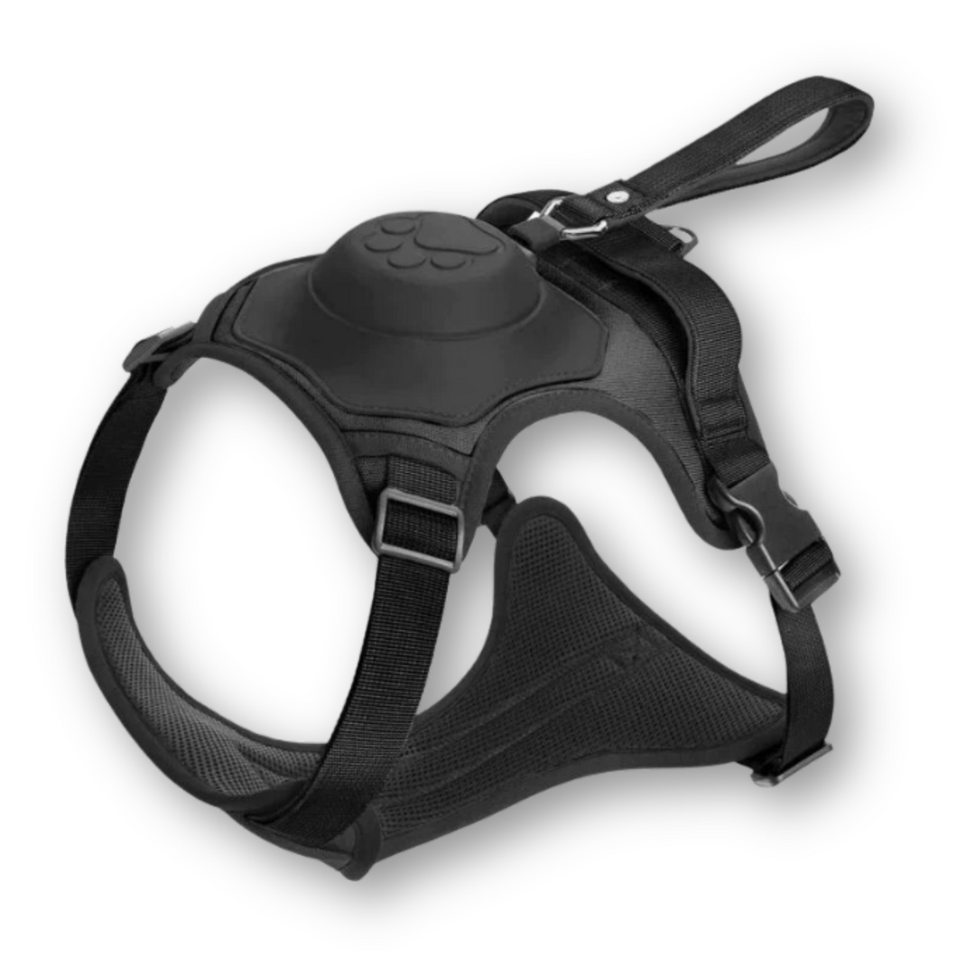 Dog Harness and Lead in One - FlexiLead-Black-M - (5-13 Kg)-Nora Luxe