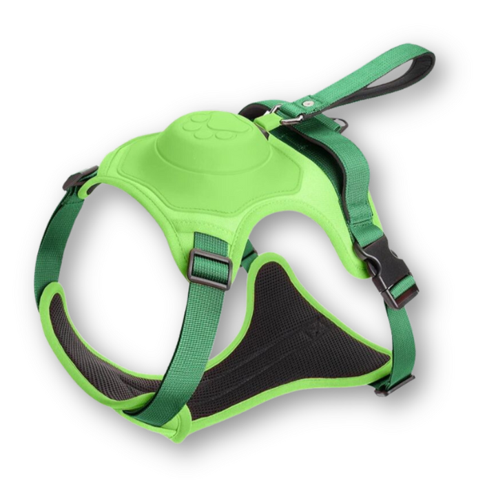 Dog Harness and Lead in One - FlexiLead-Green-M - (5-13 Kg)-Nora Luxe