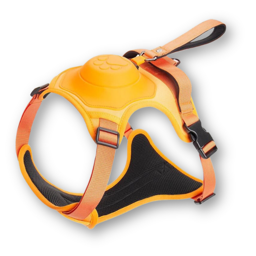 Dog Harness and Lead in One - FlexiLead-Orange-M - (5-13 Kg)-Nora Luxe