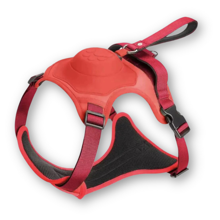 Dog Harness and Lead in One - FlexiLead-Red-M - (5-13 Kg)-Nora Luxe