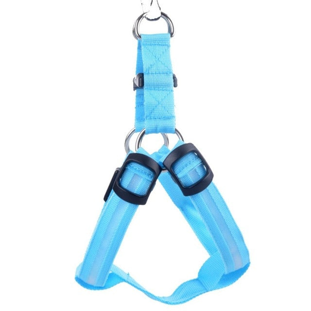 Dog harness with LED - Glow&Go-Blue-XS-Nora Luxe