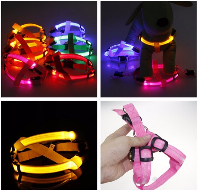 Dog harness with LED - Glow&Go-Blue-XS-Nora Luxe