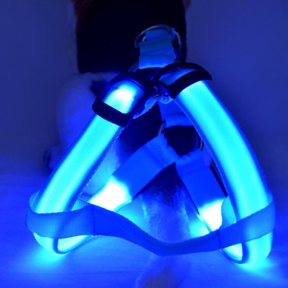 Dog harness with LED - Glow&Go-Blue-XS-Nora Luxe