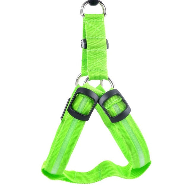 Dog harness with LED - Glow&Go-Green-XS-Nora Luxe