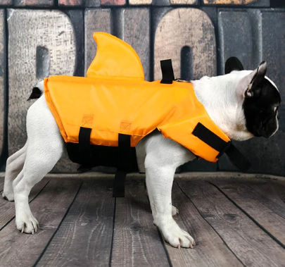Dog Life Jacket - AquaPup-Blue-XS-Nora Luxe