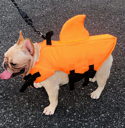 Dog Life Jacket - AquaPup-Blue-XS-Nora Luxe