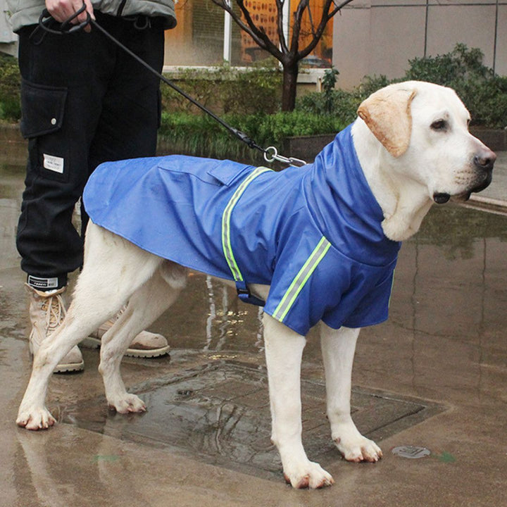 Dog Raincoat - RainGuard Pro-Blue-S-Nora Luxe