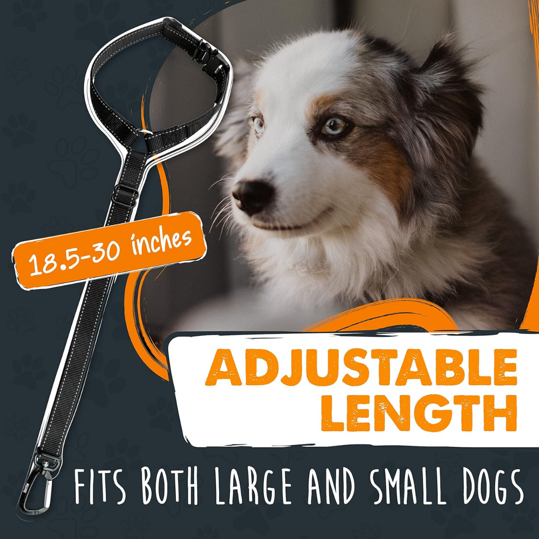 Dog seatbelt - Secure your pet safely in seconds!-Nora Luxe