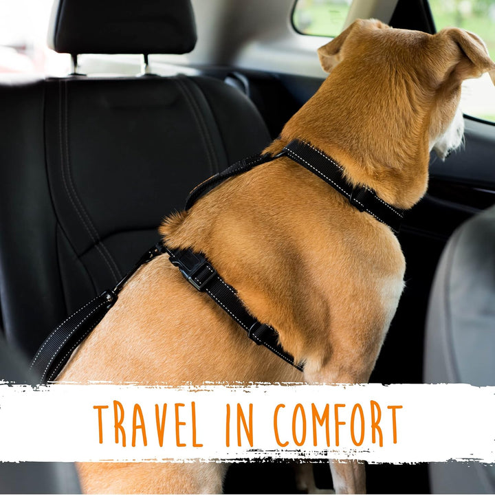 Dog seatbelt - Secure your pet safely in seconds!-Nora Luxe