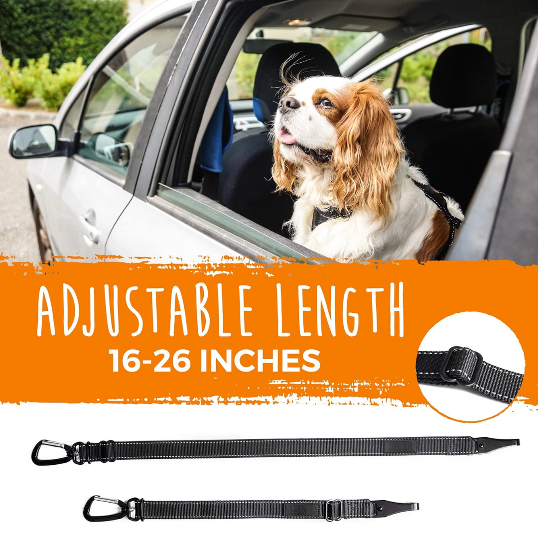 Dog seatbelt - Secure your pet safely in seconds!-Nora Luxe
