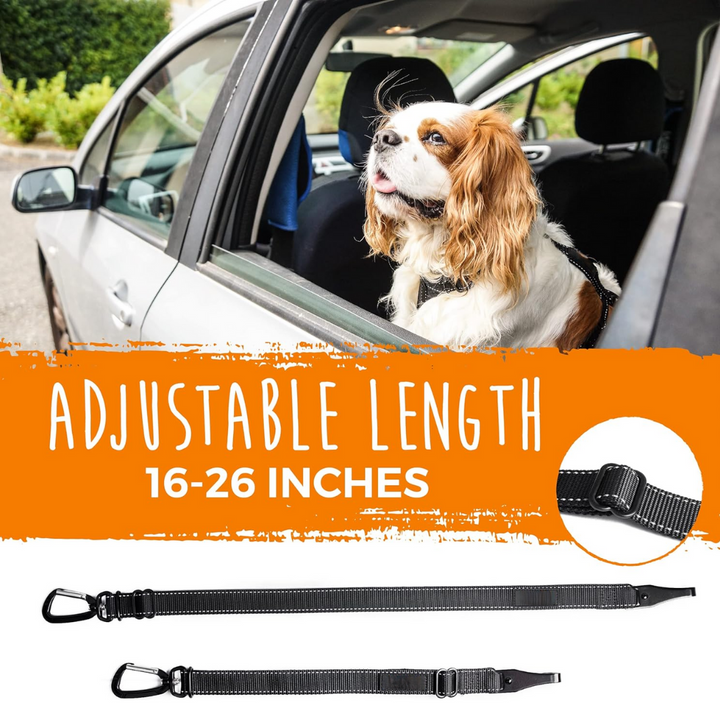 Dog seatbelt - Secure your pet safely in seconds!-Nora Luxe