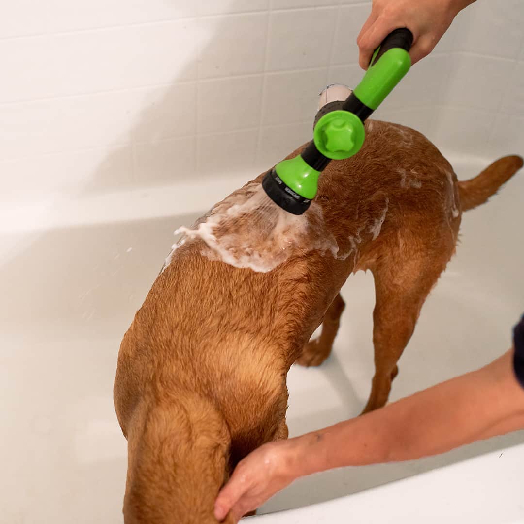 Dog Shower Sprayer - WashBuddy-Blue-Nora Luxe