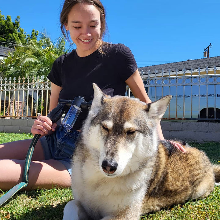 Dog Shower Sprayer - WashBuddy-Blue-Nora Luxe