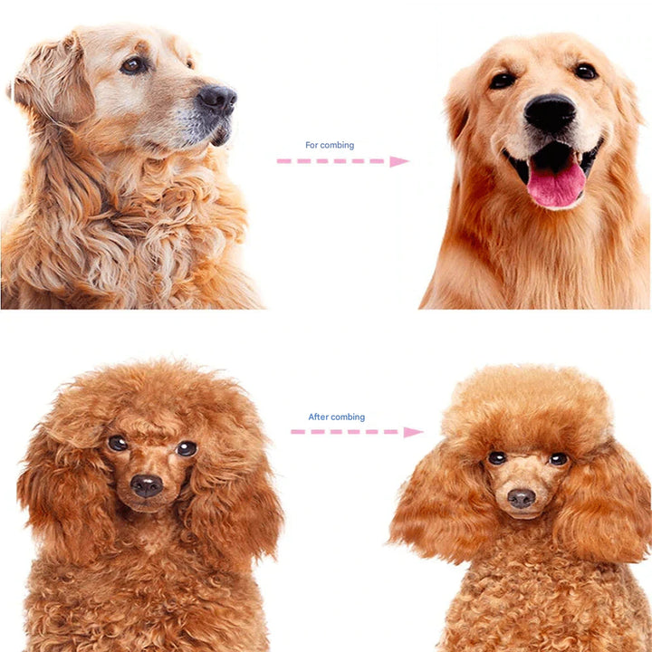 Double-Sided Hair Removal Comb for Pets - SmoothGroom-Blue-Nora Luxe