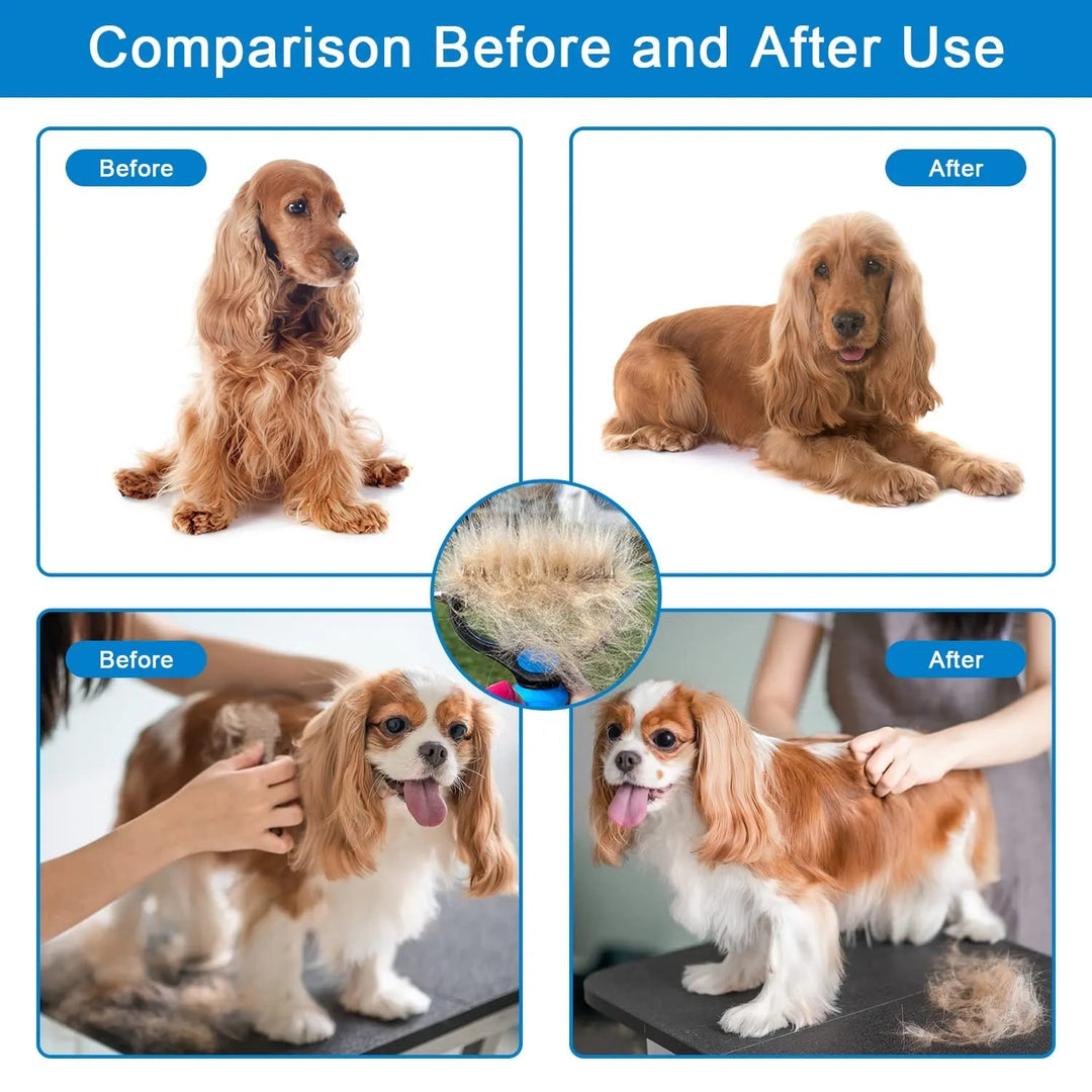 Four before-and-after dog grooming comparisons, plus a rake clogged with removed undercoat in the center 6