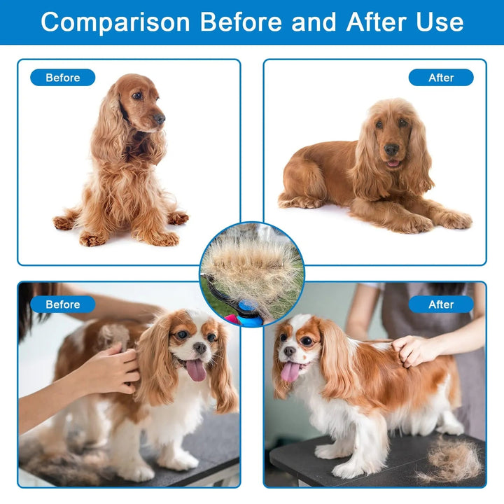 Four before-and-after dog grooming comparisons, plus a rake clogged with removed undercoat in the center 6