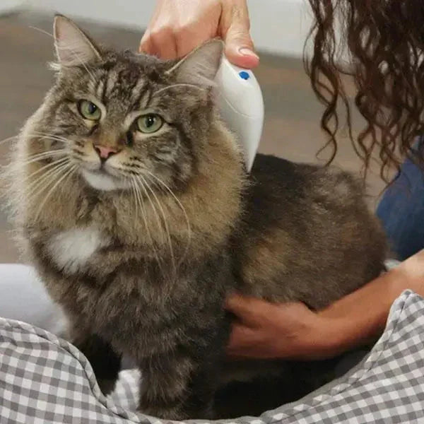 Electric Flea Remover for Pets - FleaZap-Nora Luxe