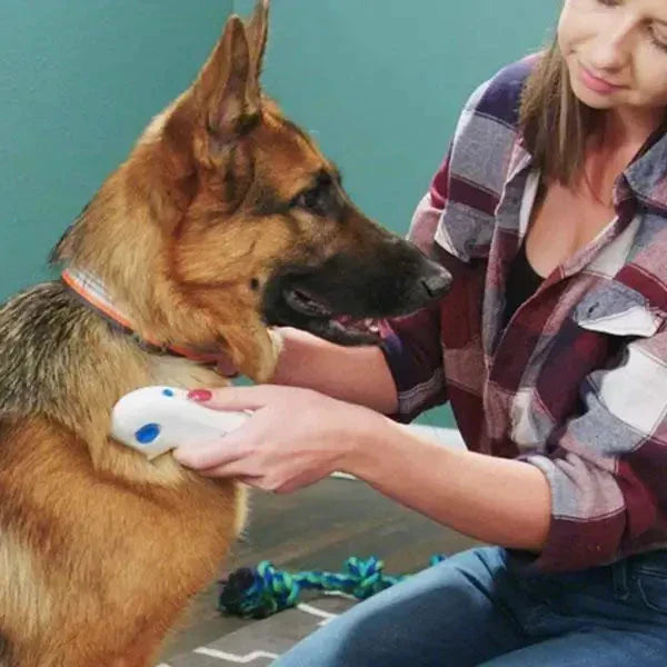 Electric Flea Remover for Pets - FleaZap-Nora Luxe