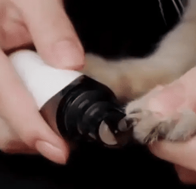 Electric Nail File for Dogs – PawTrim-Nora Luxe