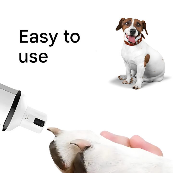 Electric Nail File for Dogs – PawTrim-Nora Luxe