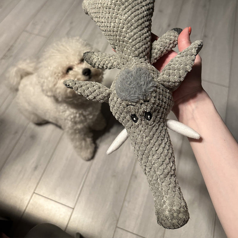 Extra Strong Dog Toy - Maximus-Wolf-Nora Luxe