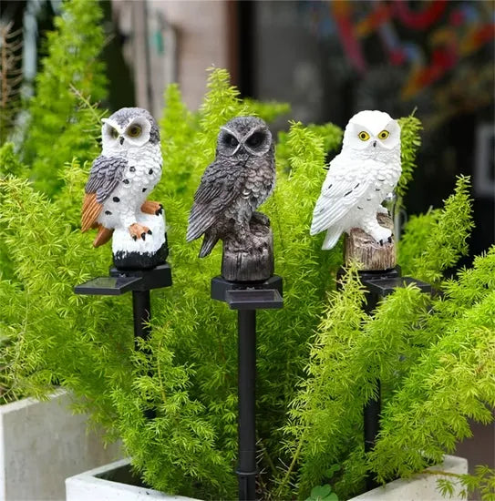 Daytime shot of gray-and-white, brown and white owl lights on stakes among feathery green plants 10