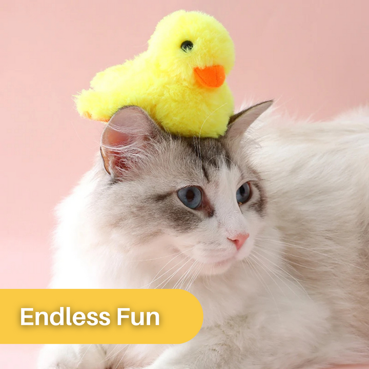 Flapping Duck Toy for Cats - DuckDash™ (1+1 FREE)-Nora Luxe