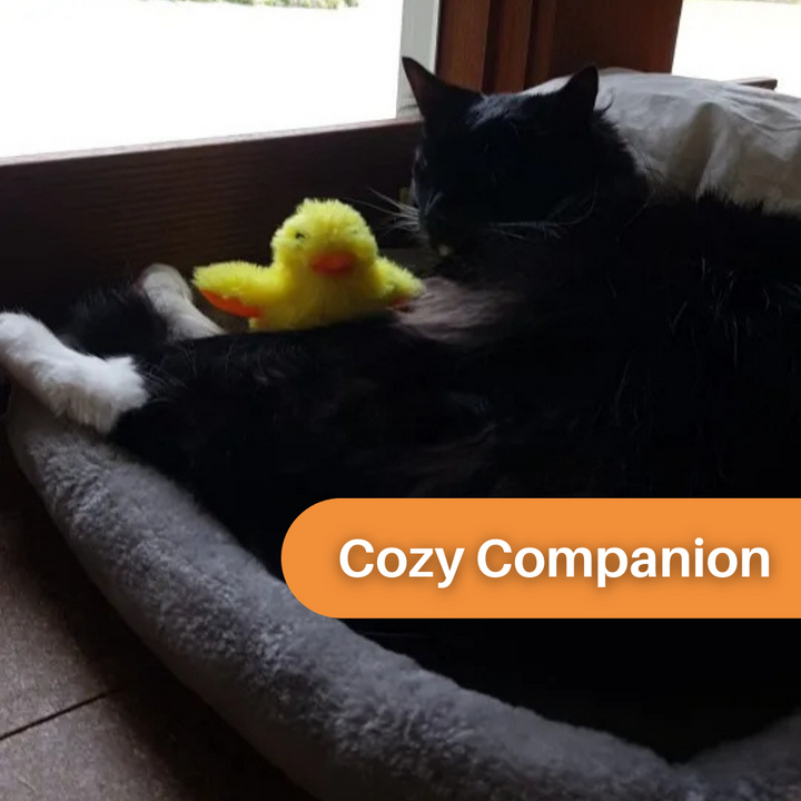 Flapping Duck Toy for Cats - DuckDash™ (1+1 FREE)-Nora Luxe
