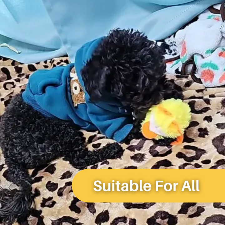 Flapping Duck Toy for Cats - DuckDash™ (1+1 FREE)-Nora Luxe