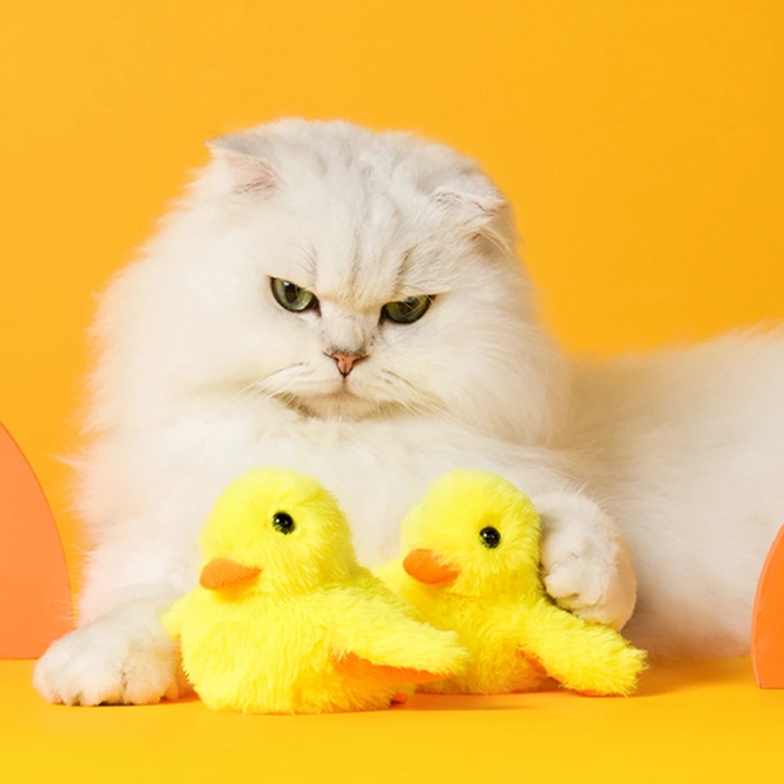 Flapping Duck Toy for Cats - DuckDash™ (1+1 FREE)-Nora Luxe