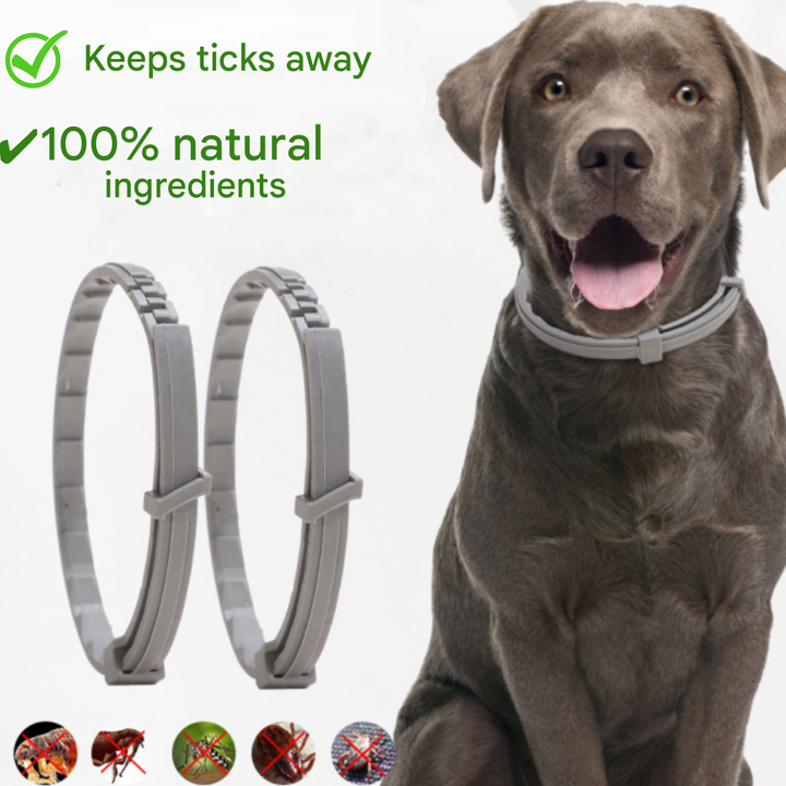 Flea and Tick Collar - FleaGuard-Nora Luxe