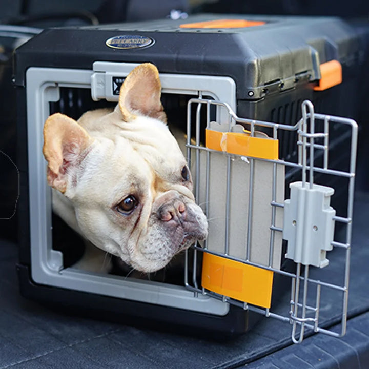Foldable Travel Basket for Dogs and Cats - PetVoyager-Less than 12 kg-Nora Luxe