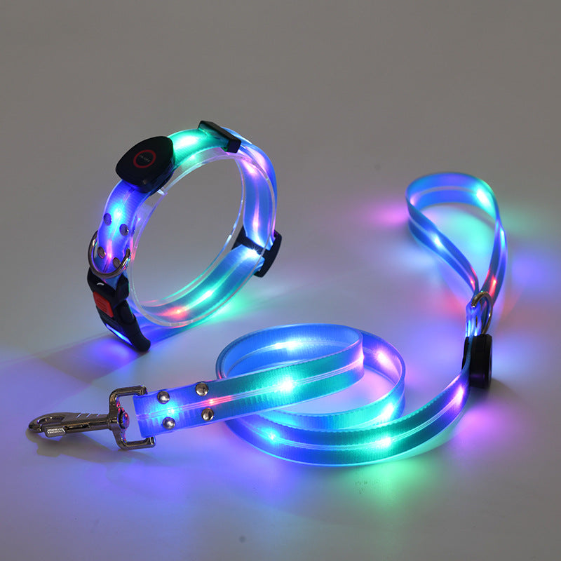 Glowing LED Dog Collar with Leash - NightBright-Blue-Nora Luxe