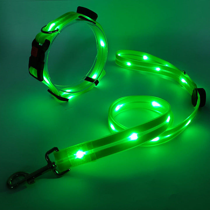 Glowing LED Dog Collar with Leash - NightBright-Yellow-Nora Luxe