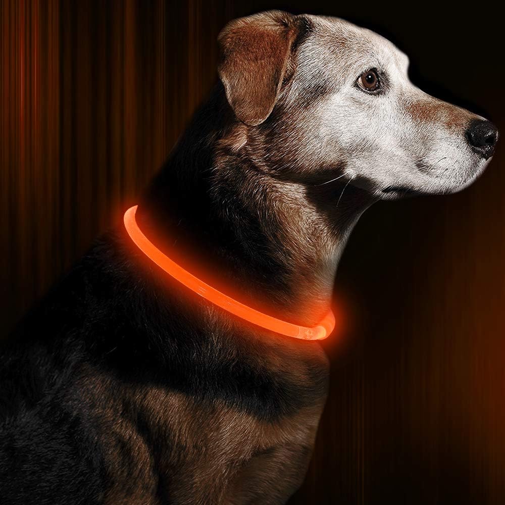 GlowSafe LED Dog Collar – Rechargeable USB Safety Light-Orange-Nora Luxe