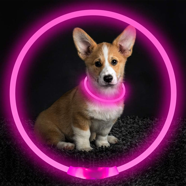 GlowSafe LED Dog Collar – Rechargeable USB Safety Light-Pink-Nora Luxe