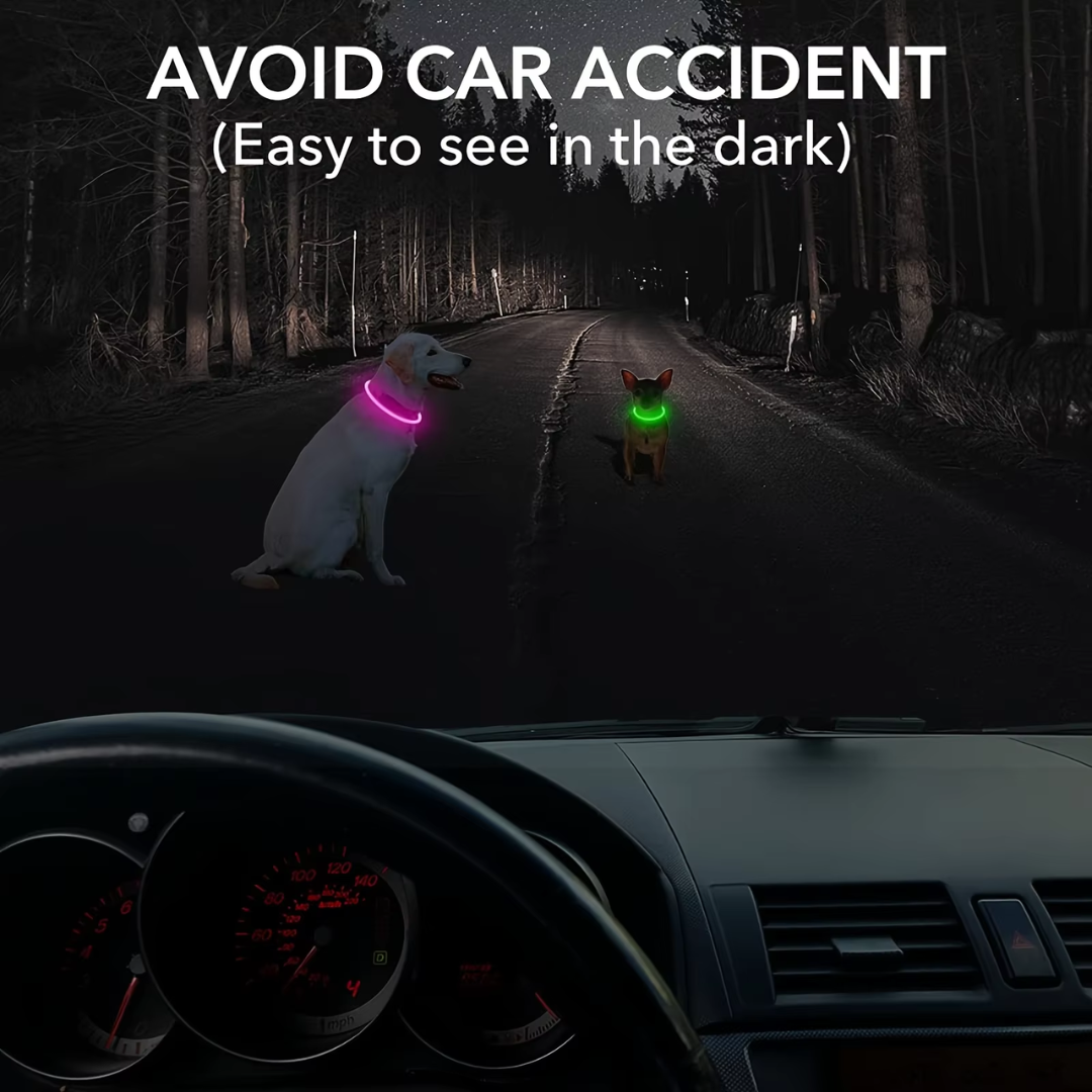 GlowSafe LED Dog Collar – Rechargeable USB Safety Light-Pink-Nora Luxe