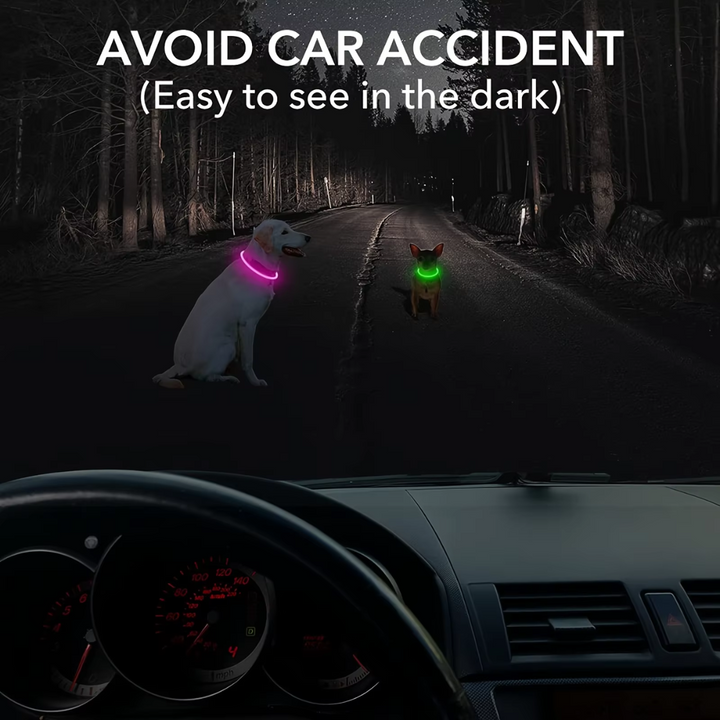 GlowSafe LED Dog Collar – Rechargeable USB Safety Light-Pink-Nora Luxe