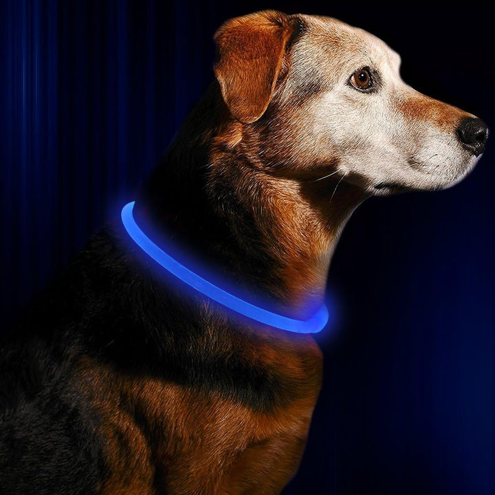 GlowSafe LED Dog Collar – Rechargeable USB Safety Light-Pink-Nora Luxe