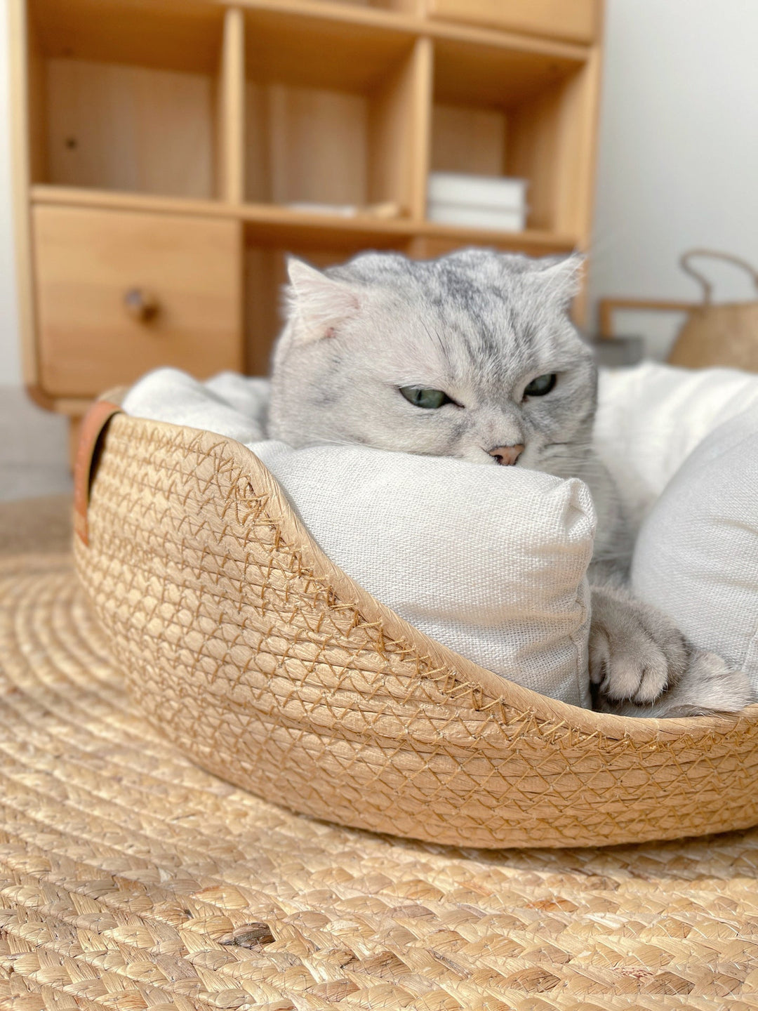 Handmade Comfortable Bed for Cats - LuxeSnooze-Man-S-Nora Luxe