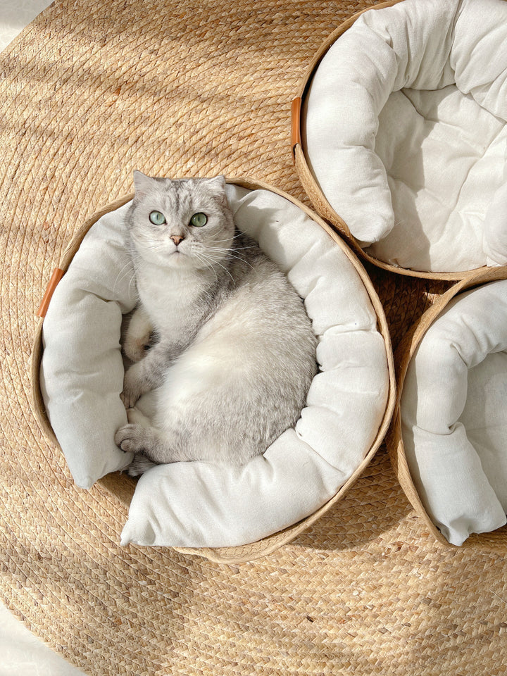 Handmade Comfortable Bed for Cats - LuxeSnooze-Man-S-Nora Luxe
