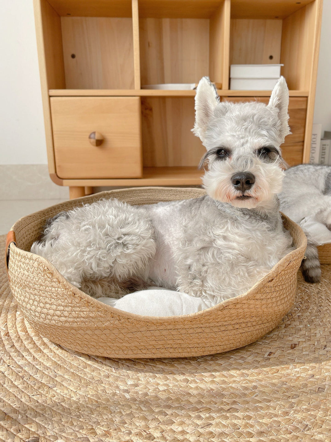 Handmade Comfortable Bed for Cats - LuxeSnooze-Man-S-Nora Luxe
