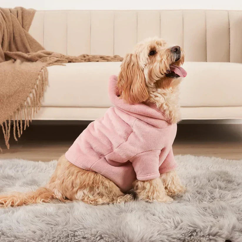 Hoodie Set for Bosses and Their Dogs - PawMatch-Small dog-Nora Luxe