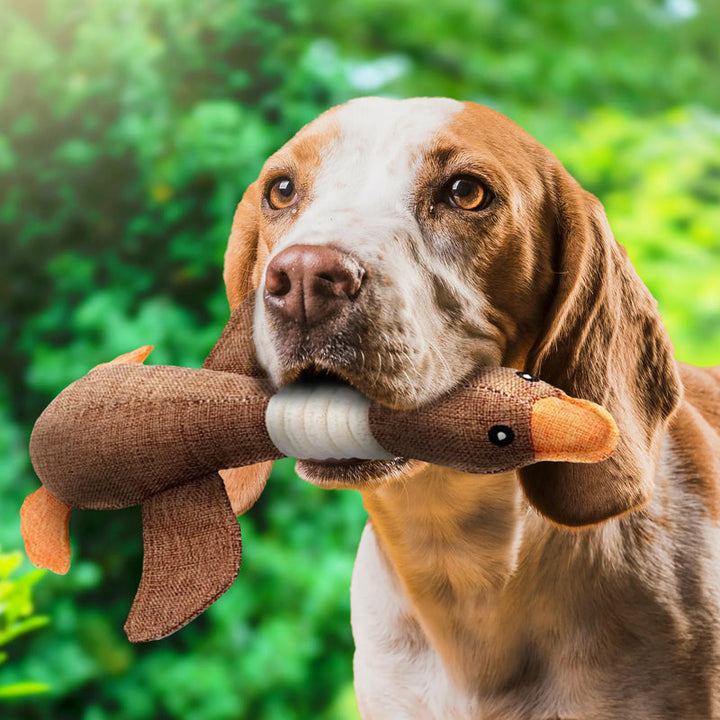 Indestructible Dog Toy (1+1 FREE) - ToughGoose-Brown 2x-Nora Luxe