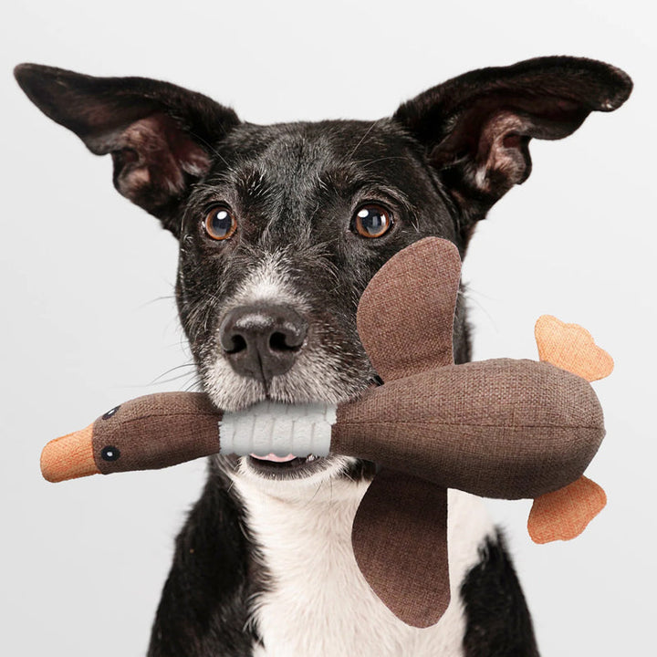 Indestructible Dog Toy (1+1 FREE) - ToughGoose-Brown 2x-Nora Luxe