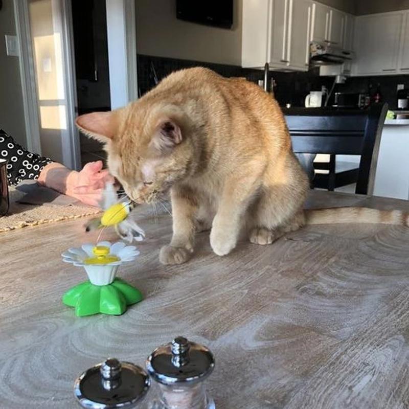 Interactive Bird Toy for Cats - Purrfect Play-Butterfly-Nora Luxe