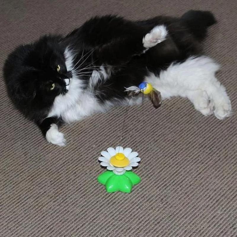 Interactive Bird Toy for Cats - Purrfect Play-Butterfly-Nora Luxe