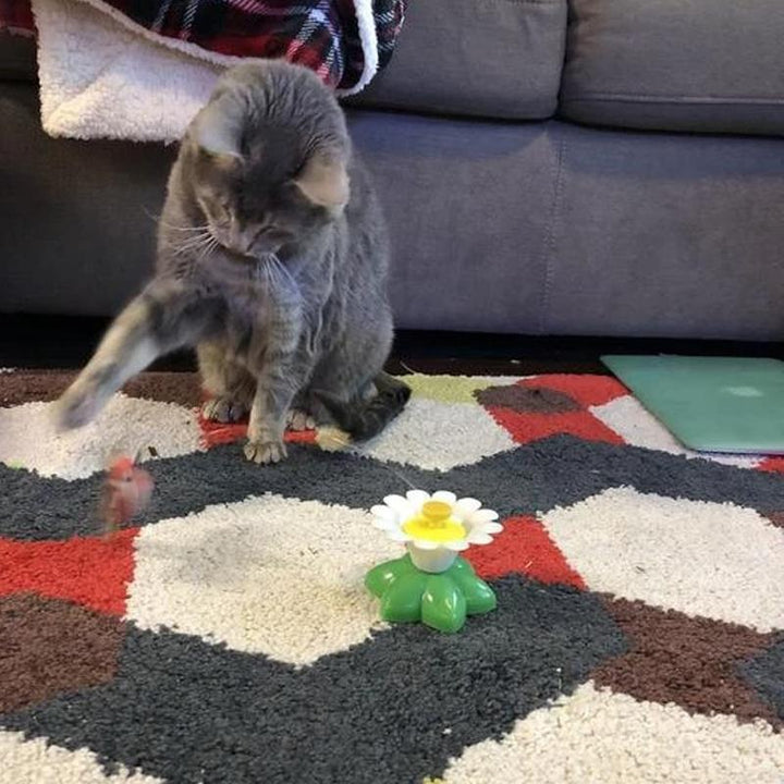 Interactive Bird Toy for Cats - Purrfect Play-Butterfly-Nora Luxe