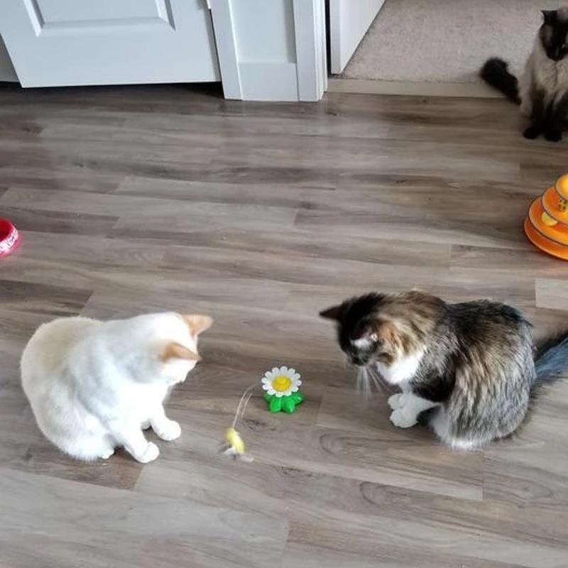 Interactive Bird Toy for Cats - Purrfect Play-Butterfly-Nora Luxe