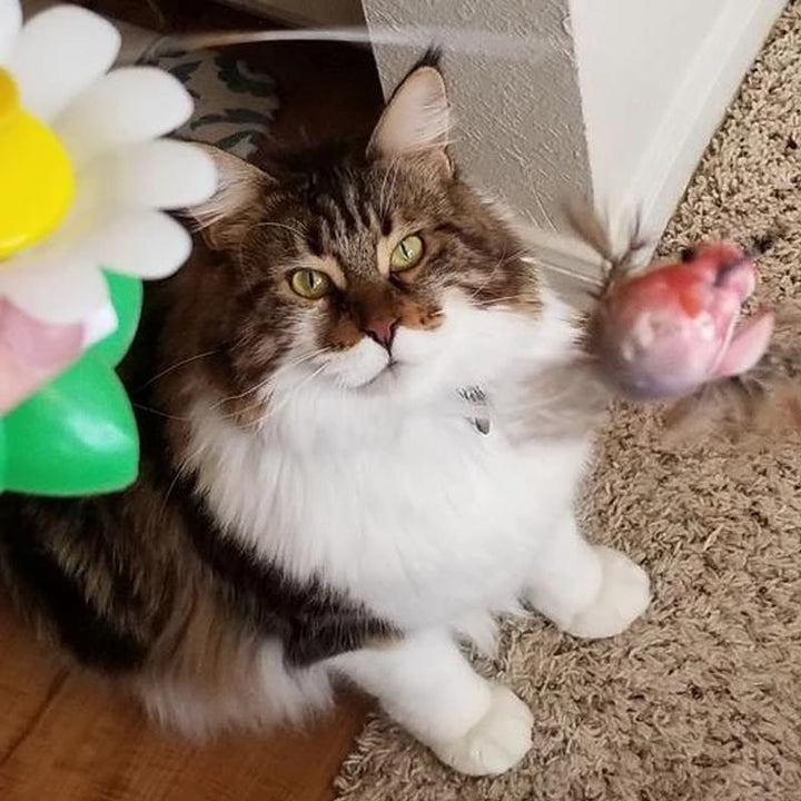 Interactive Bird Toy for Cats - Purrfect Play-Butterfly-Nora Luxe